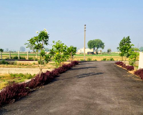 Open Plot with Under Construction House