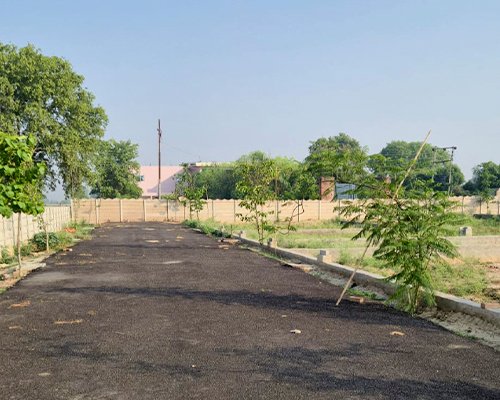 Plot with Road and Boundary