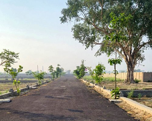 Plot Road View 4